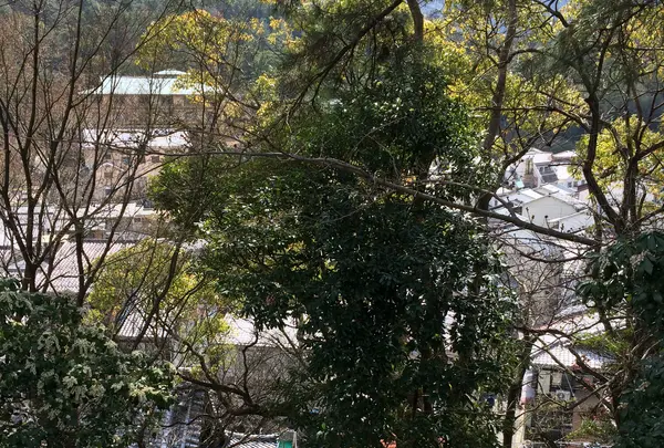 今伊勢神社の写真・動画_image_352146