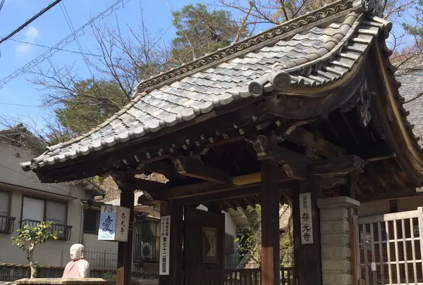 存光寺の写真・動画_image_352152