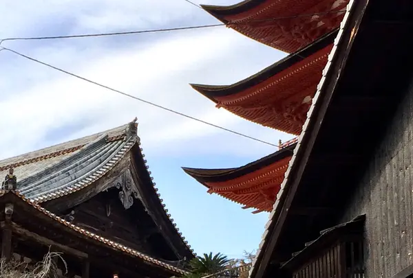 天心閣の写真・動画_image_352180