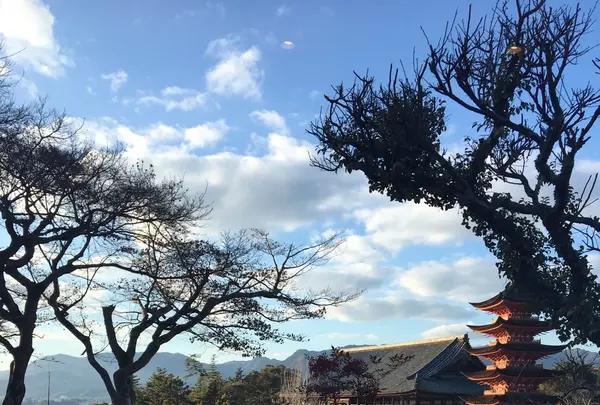 天心閣の写真・動画_image_352194