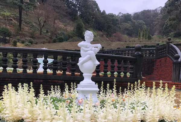 アカオハーブ＆ローズガーデンの写真・動画_image_352406