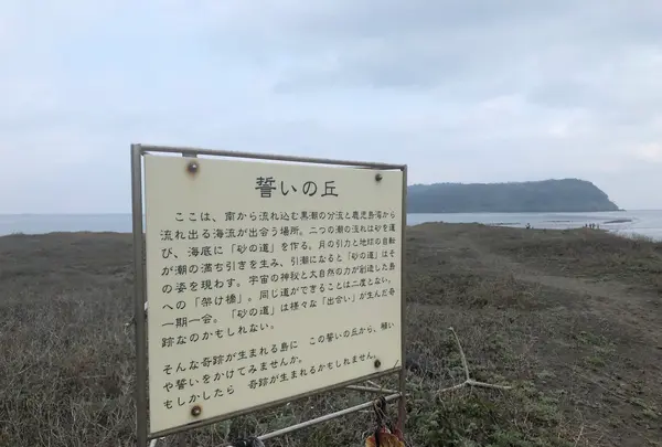 知林ヶ島の写真・動画_image_352420