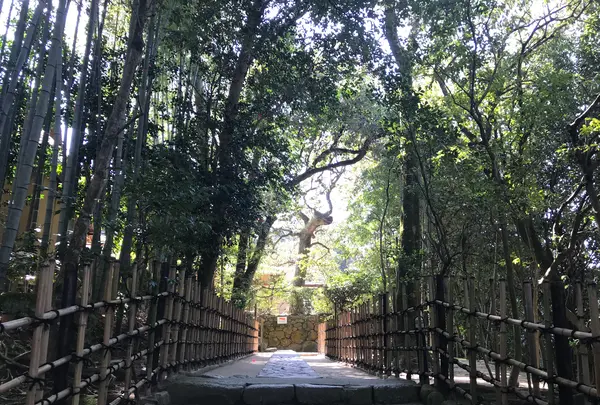 詩仙堂丈山寺の写真・動画_image_352430