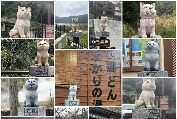 鰻温泉の写真・動画_image_352473