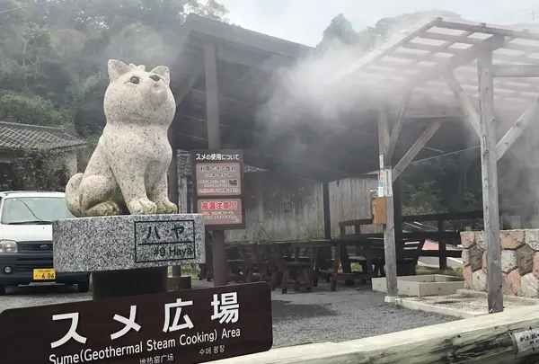 鰻温泉の写真・動画_image_352478