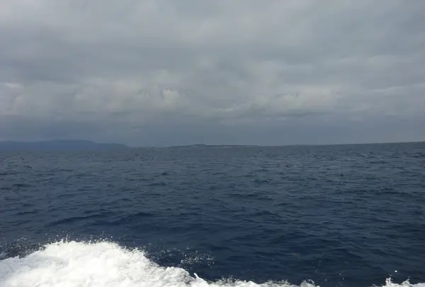 西表島の写真・動画_image_352762