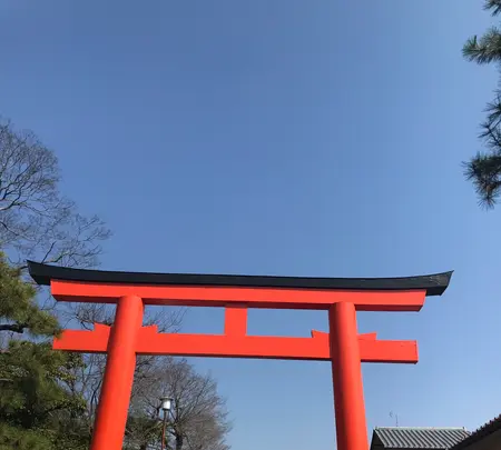 下鴨神社（賀茂御祖神社）の写真・動画_image_352800