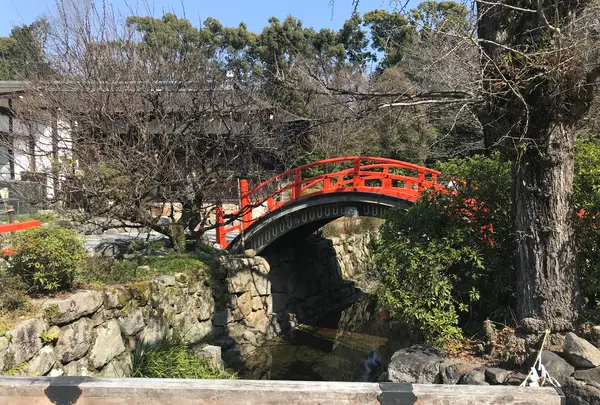下鴨神社（賀茂御祖神社）の写真・動画_image_352804