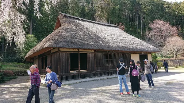 高麗神社の写真・動画_image_352917