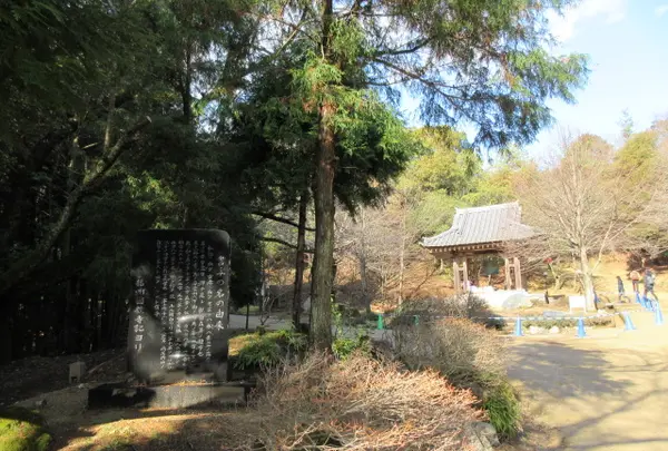 書写山圓教寺の写真・動画_image_352933