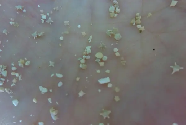 竹富島の写真・動画_image_353080