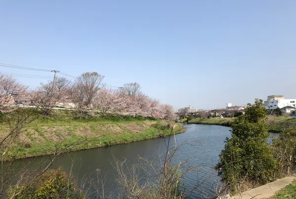 花見川サイクリングロードの写真・動画_image_353083