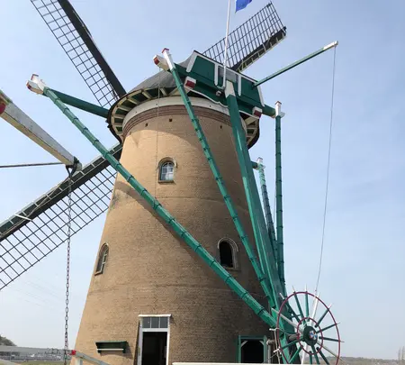 佐倉ふるさと広場の写真・動画_image_353105