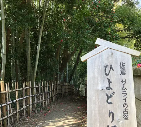 佐倉サムライの古径 ひよどり坂の写真・動画_image_353106
