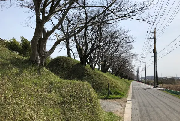佐倉城址公園の写真・動画_image_353109
