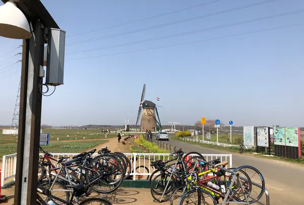 佐倉ふるさと広場の写真・動画_image_353111