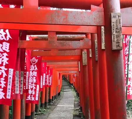 佐助稲荷神社の写真・動画_image_353771