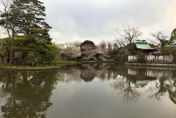 鶴岡八幡宮の写真・動画_image_353777