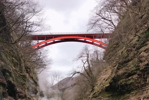 小安峡大噴湯の写真・動画_image_354222