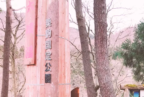 小安峡大噴湯の写真・動画_image_354224