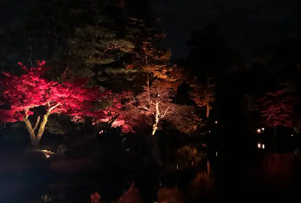 兼六園の写真・動画_image_354297