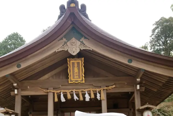 竈門神社の写真・動画_image_354347