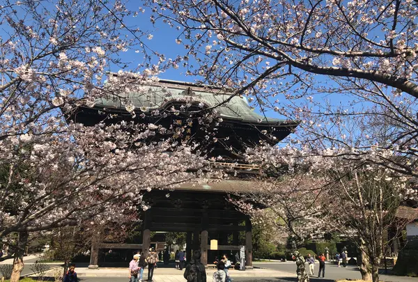建長寺の写真・動画_image_354373