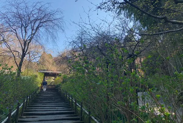 明月院（あじさい寺）の写真・動画_image_354375