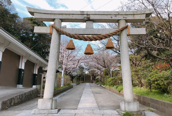 小動神社の写真・動画_image_354379