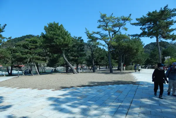 宇治公園(塔の島)の写真・動画_image_354697
