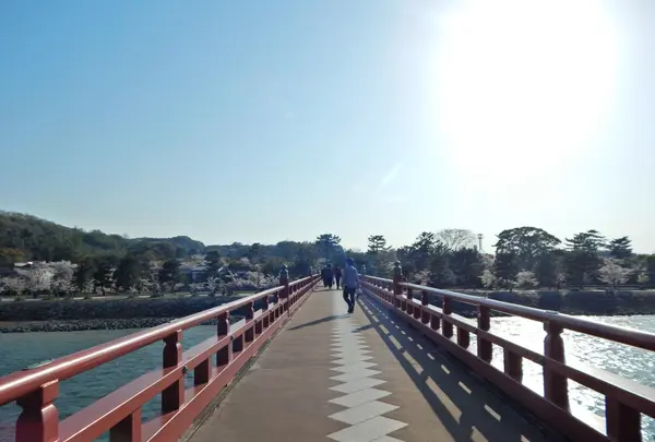 宇治公園(塔の島)の写真・動画_image_354700