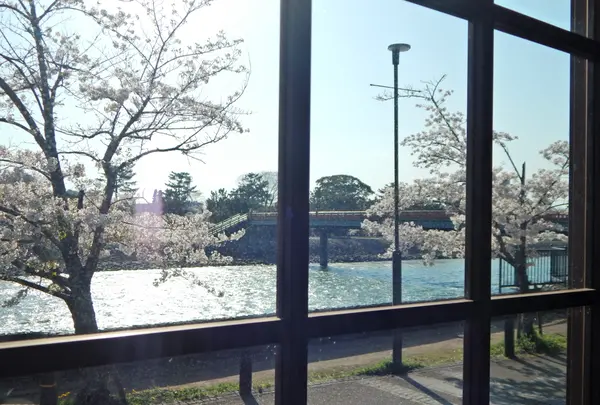 福寿園 宇治工房の写真・動画_image_354709