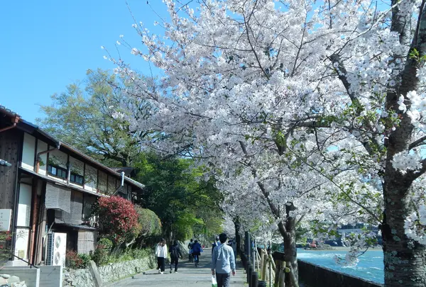 福寿園 宇治工房の写真・動画_image_354711
