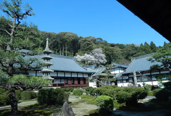 興聖寺の写真・動画_image_354730