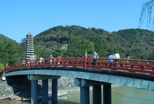 宇治公園(塔の島)の写真・動画_image_354731