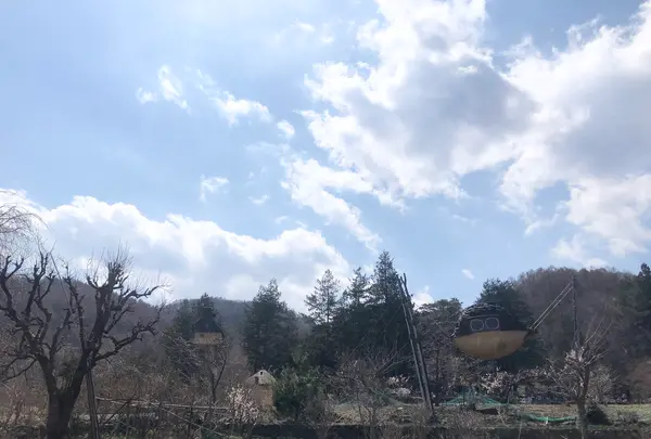 空飛ぶ泥舟の写真・動画_image_354782