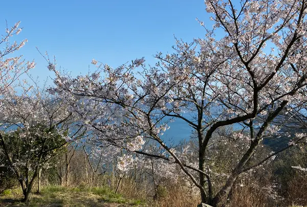筆影山の写真・動画_image_355085