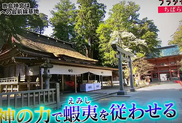 鹿島神宮の写真・動画_image_355200