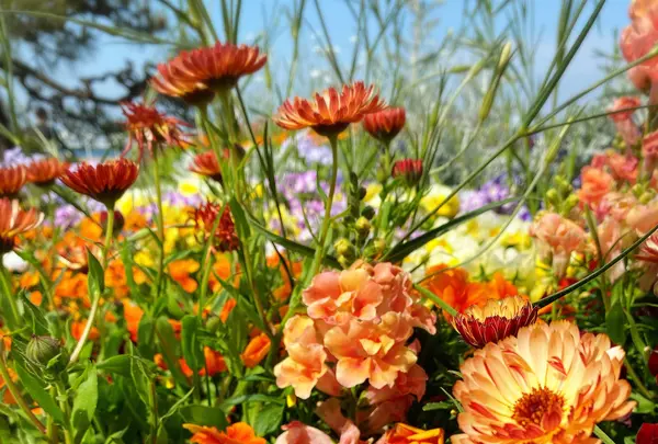 山下公園の写真・動画_image_356239