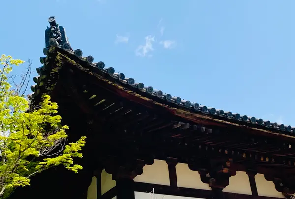 広隆寺の写真・動画_image_356474