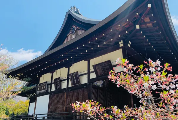 広隆寺の写真・動画_image_356478