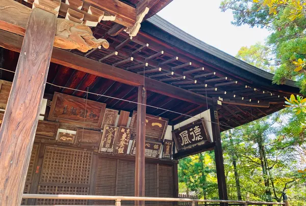 広隆寺の写真・動画_image_356480