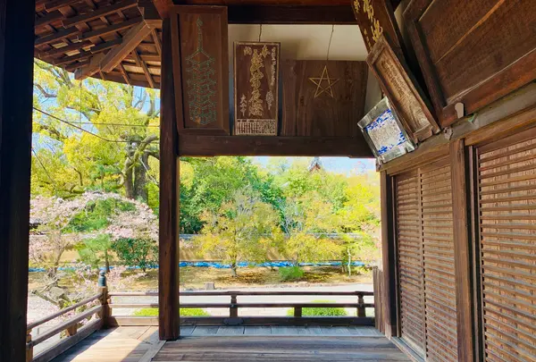 広隆寺の写真・動画_image_356482