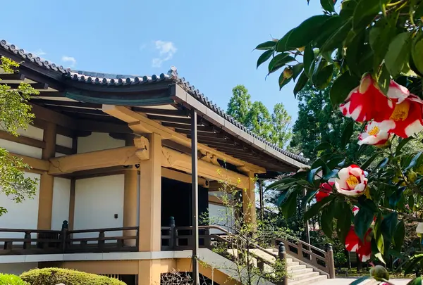 広隆寺の写真・動画_image_356487
