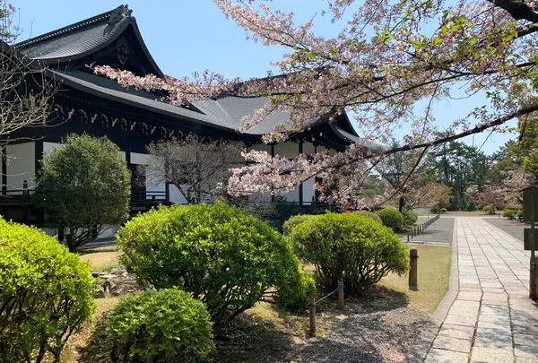広隆寺の写真・動画_image_356489