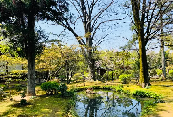 広隆寺の写真・動画_image_356490