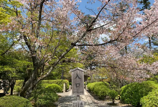 広隆寺の写真・動画_image_356491