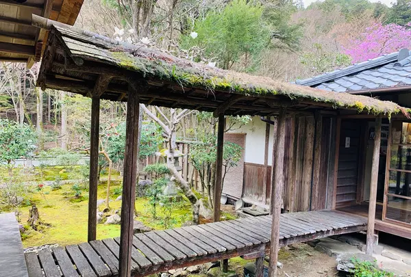 高山寺の写真・動画_image_356551