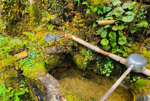 高山寺の写真・動画_image_356552