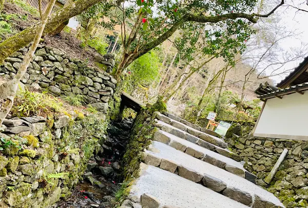 高山寺の写真・動画_image_356554